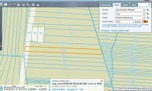 Działka leśna Rokitno Szlacheckie. Zdjęcie 1