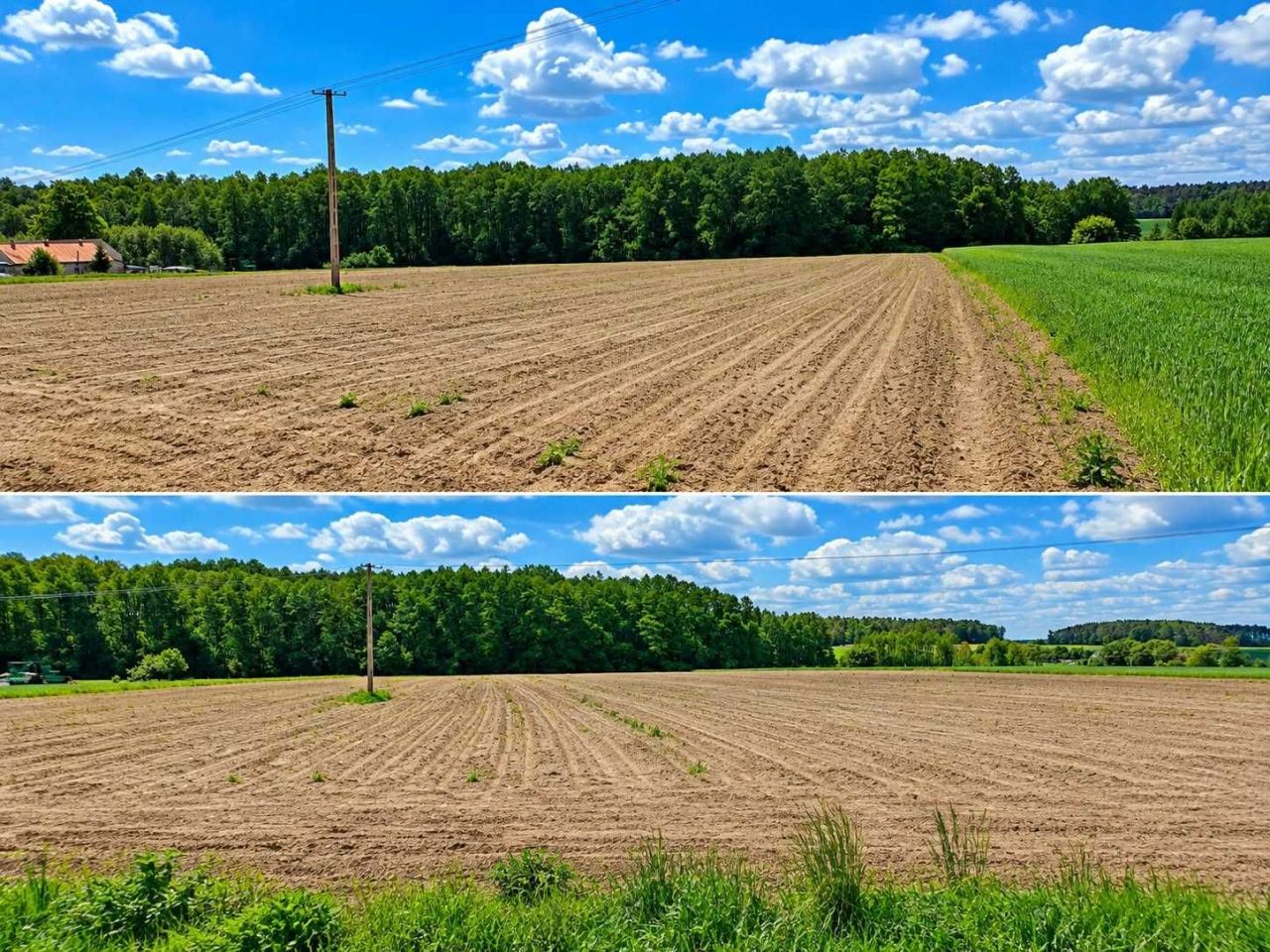 Działka budowlana Kacprówek. Zdjęcie 4