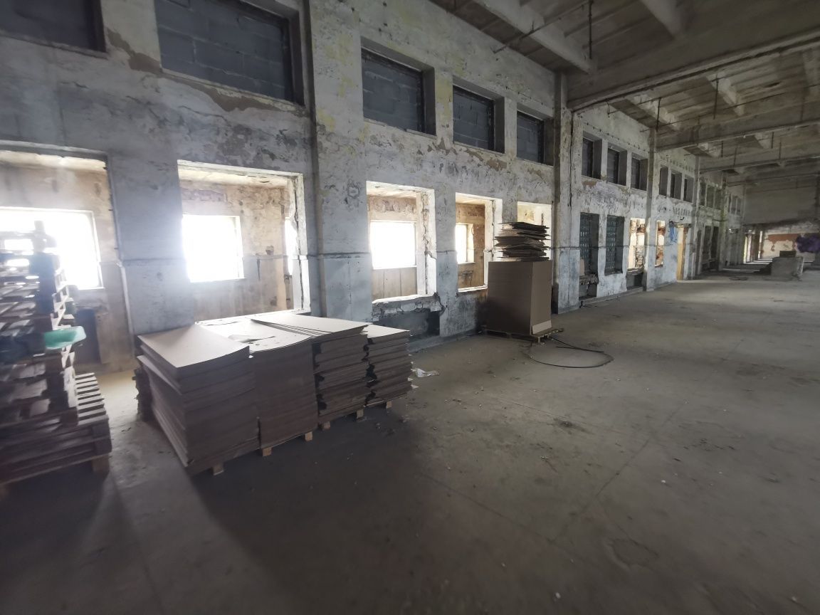 Hala/magazyn Dąbrowa Górnicza, ul. Perla. Zdjęcie 7