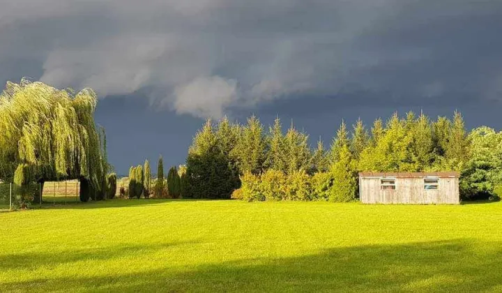 Działka rolno-budowlana Pisarzowice, ul. Świerkowa