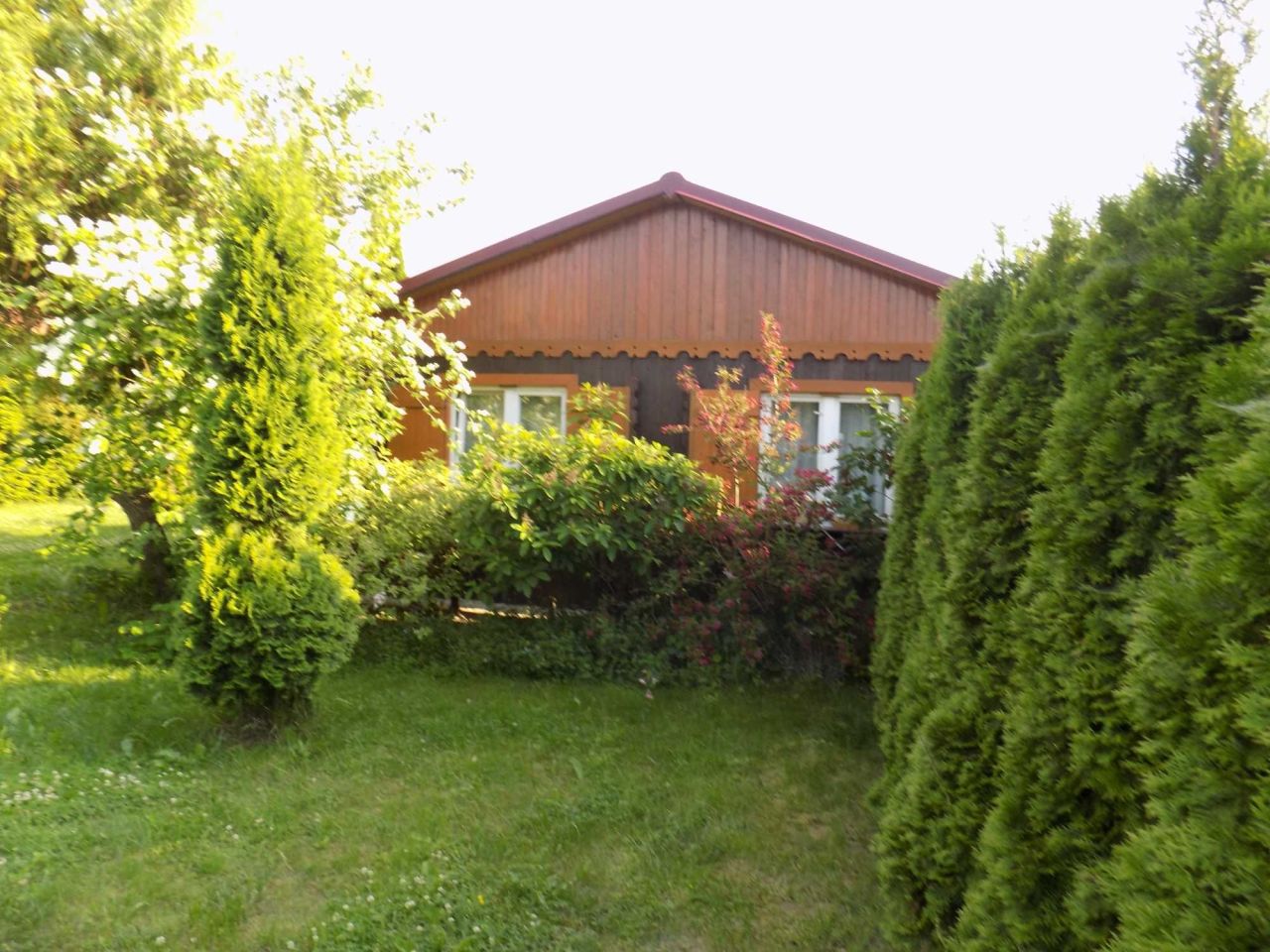 Działka budowlana Brdów. Zdjęcie 8