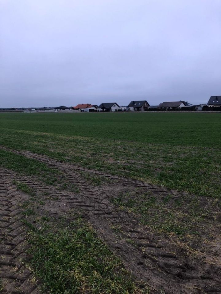 Działka Smolniki. Zdjęcie 4