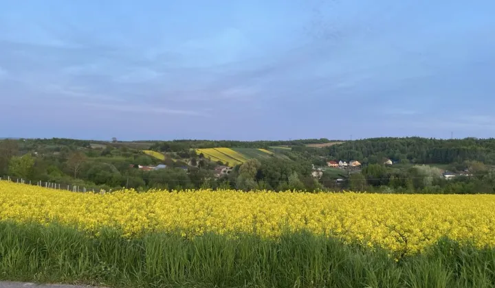 Działka rolna Świrna
