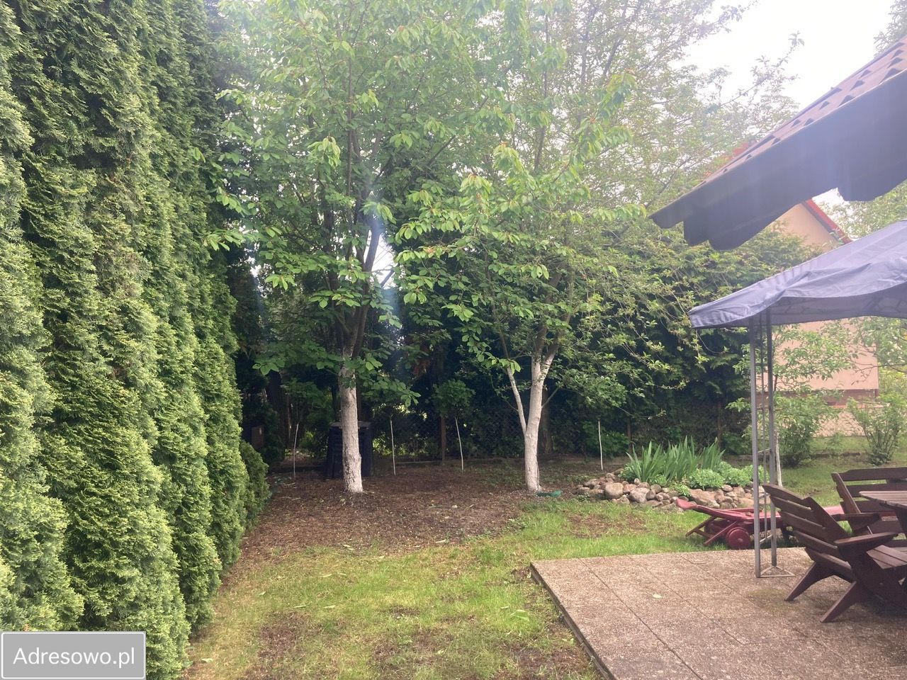 Działka rod Dobrcz, ul. Wodna. Zdjęcie 6