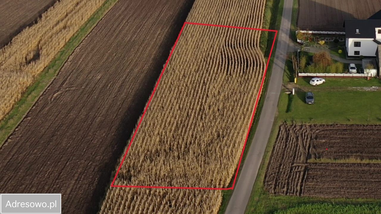 Działka budowlana Rudze. Zdjęcie 2