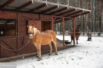 dom wolnostojący, 6 pokoi Zawiercie. Zdjęcie 2