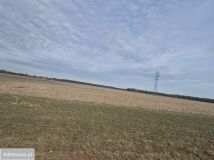 Działka rolna Stoszyce. Zdjęcie 3