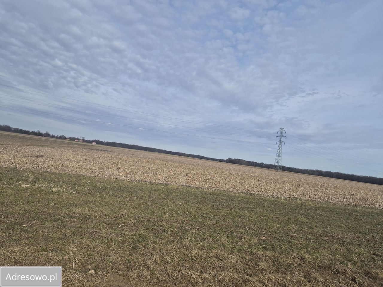 Działka rolna Stoszyce. Zdjęcie 4