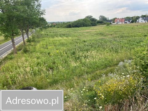 Działka inwestycyjna Lipnik. Zdjęcie 2