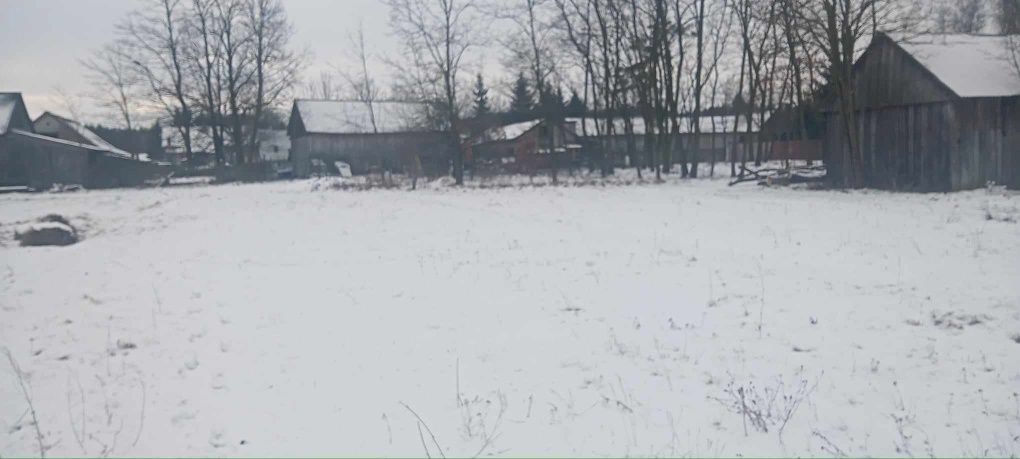 Działka rolno-budowlana Korzeń. Zdjęcie 5