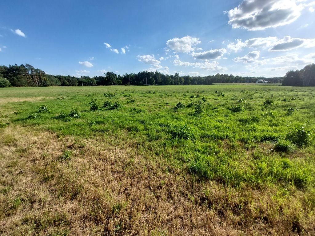 Działka rolno-budowlana Zamęty. Zdjęcie 14