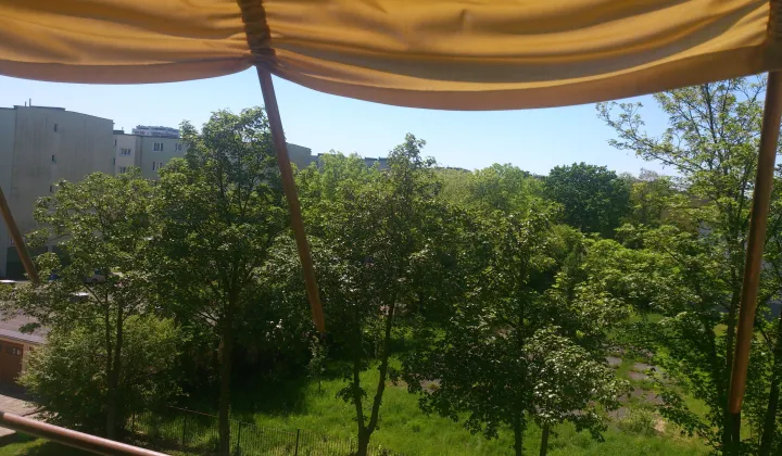 Mieszkanie 2-pokojowe Poznań Dębiec, ul. Osinowa