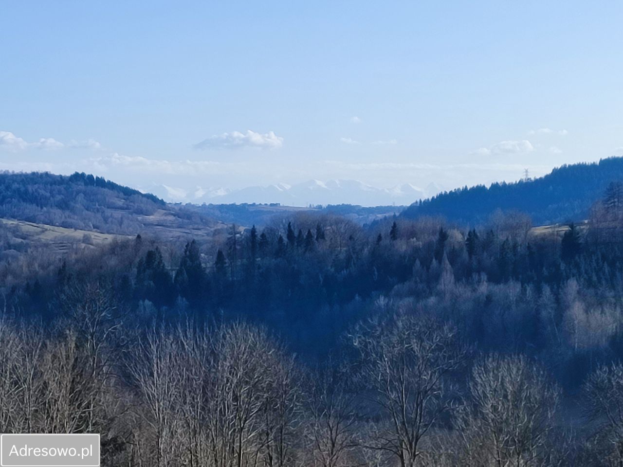 Działka budowlana Tokarnia. Zdjęcie 2