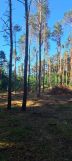 Działka inna Wypychów. Zdjęcie 2