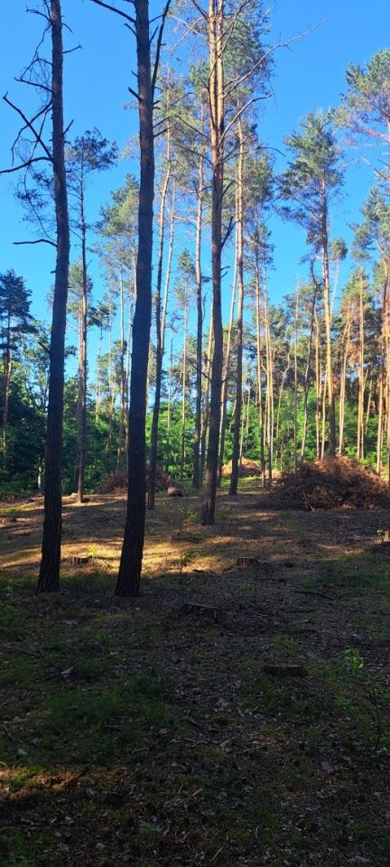 Działka inna Wypychów. Zdjęcie 3