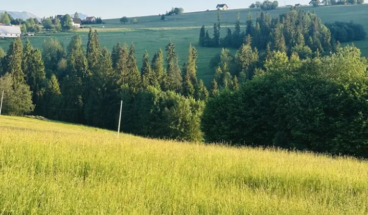 Działka budowlana Czerwienne