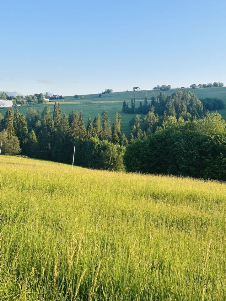 Działka budowlana Czerwienne. Zdjęcie 1