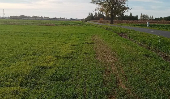 Działka budowlana Nasutów