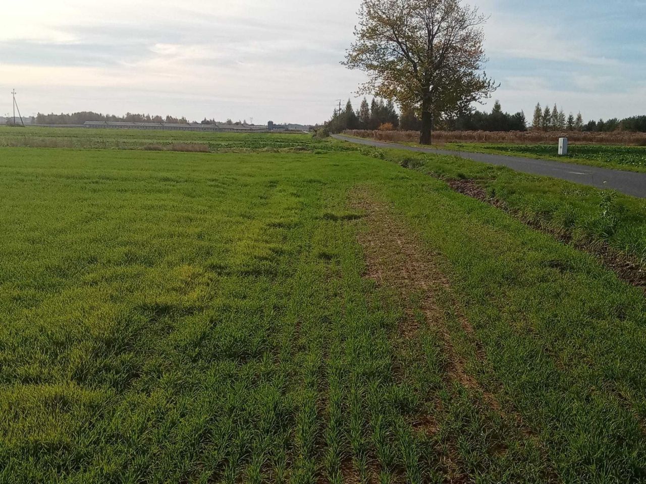 Działka budowlana Nasutów. Zdjęcie 1