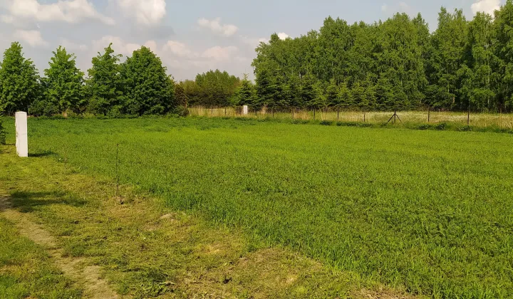 Działka budowlana Koluszki, ul. Krańcowa