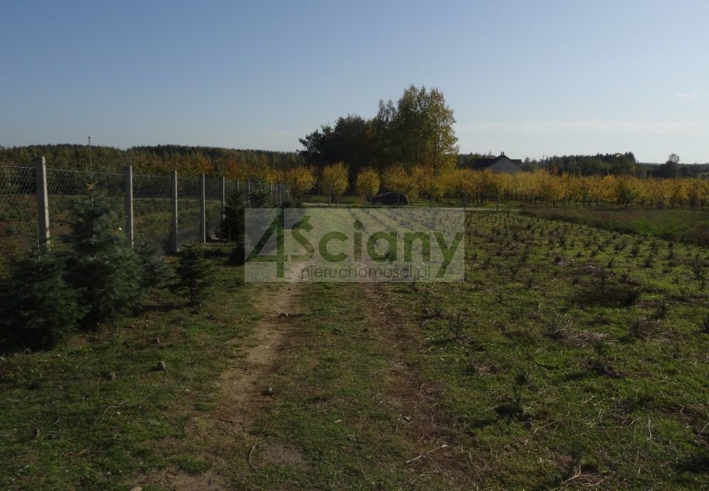 Działka siedliskowa Osuchów. Zdjęcie 17