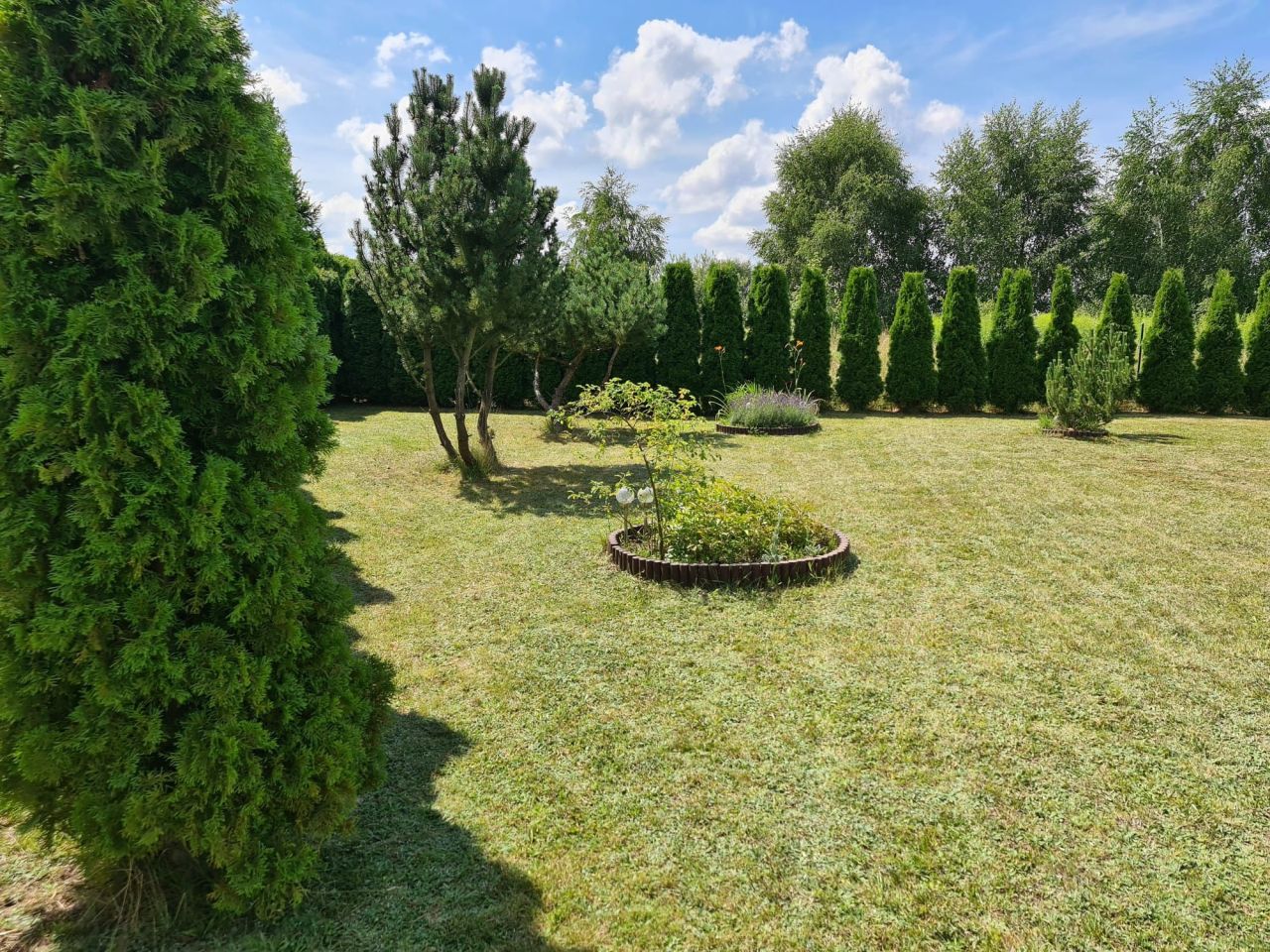 Działka rekreacyjna Tucze. Zdjęcie 7