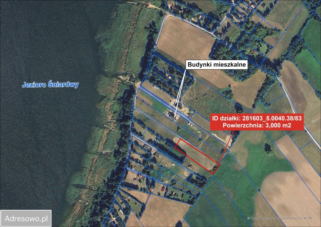 Działka siedliskowa Zdory. Zdjęcie 2