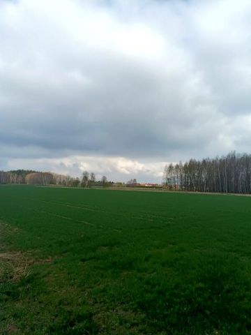 Działka budowlana Świerzowa Polska. Zdjęcie 2