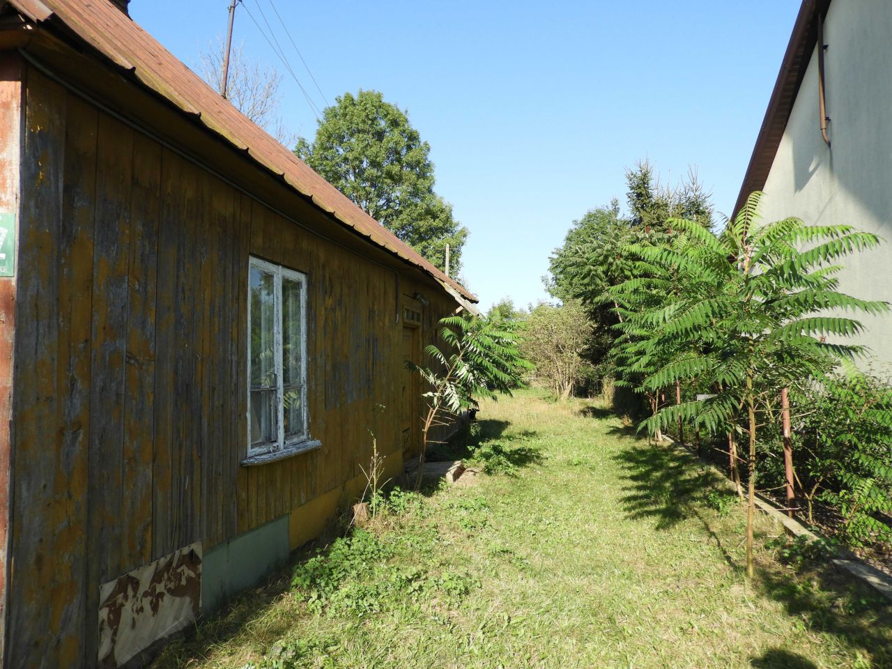 Działka siedliskowa Wólka Miedzyńska. Zdjęcie 3