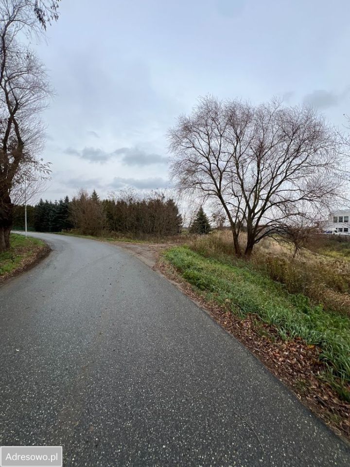 Działka inwestycyjna Łąka. Zdjęcie 6