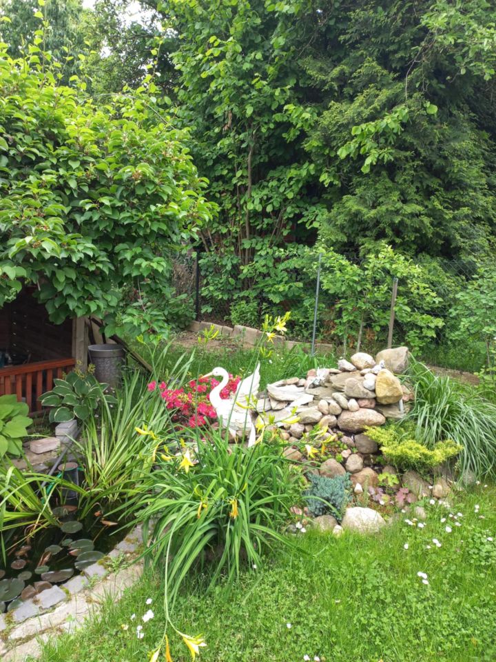 Działka rod Dys Bernatówka, ul. Bernatówka. Zdjęcie 26