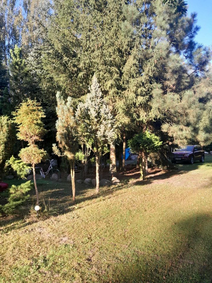 Działka rekreacyjna Strzeszewo. Zdjęcie 4