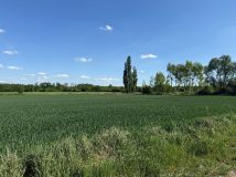 Działka budowlana Żelazna. Zdjęcie 2