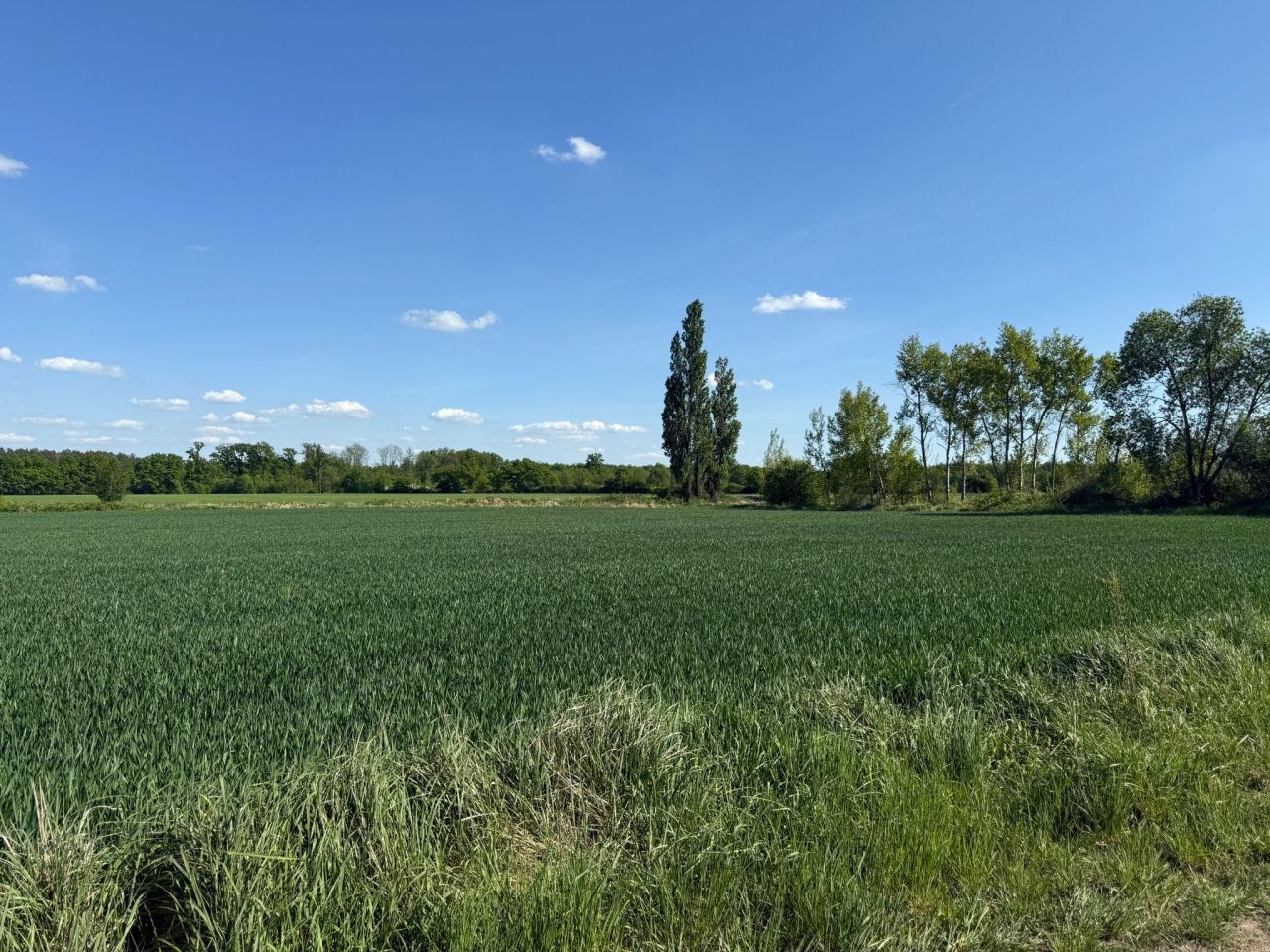 Działka budowlana Żelazna. Zdjęcie 3