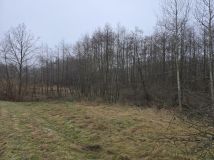 Działka budowlana Węglówka. Zdjęcie 4