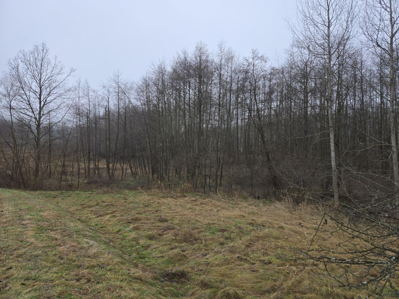 Działka budowlana Węglówka. Zdjęcie 5