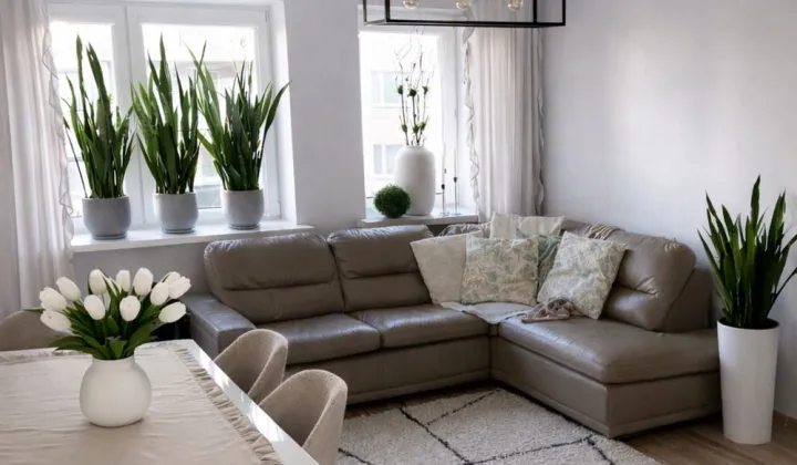 Mieszkanie 3-pokojowe Koło, ul. Tulipanowa