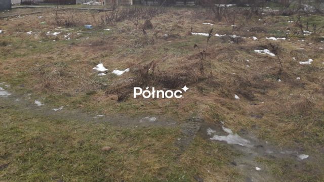 Działka inwestycyjna Czarna Białostocka. Zdjęcie 2
