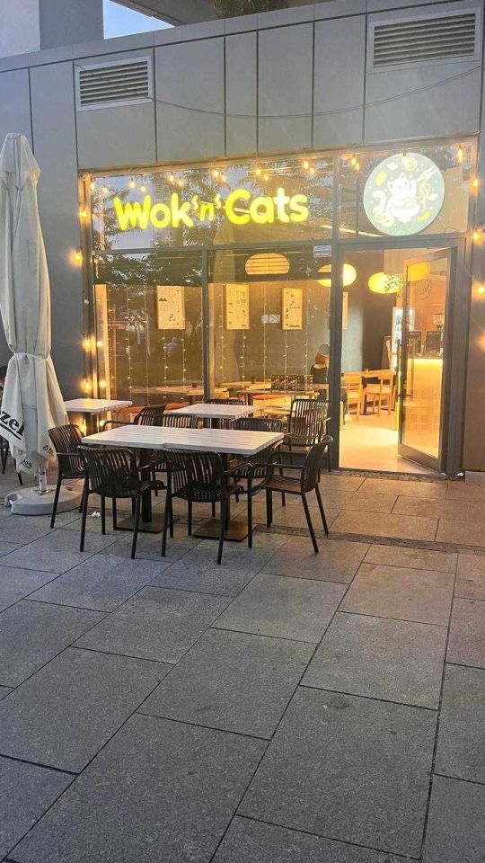 Lokal Gdańsk Śródmieście, ul. Stara Stocznia. Zdjęcie 4