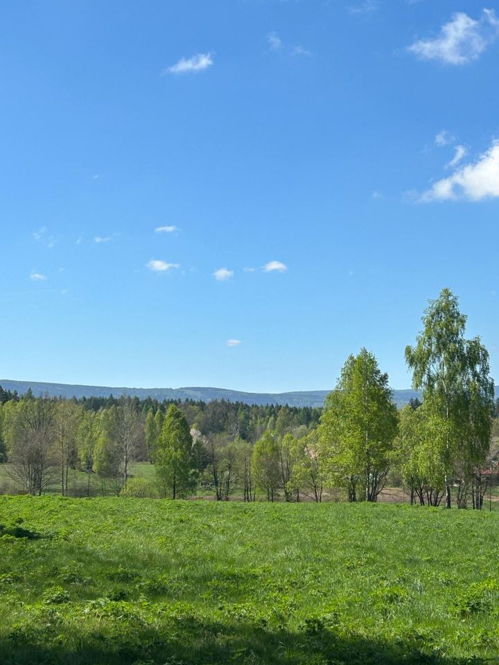 Działka rolno-budowlana Gajówka. Zdjęcie 5