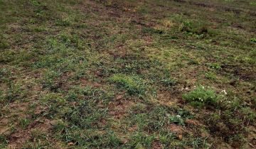 Działka rolno-budowlana Wola Korybutowa-Kolonia