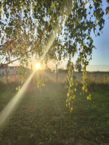 dom wolnostojący, 5 pokoi Jeżów. Zdjęcie 27