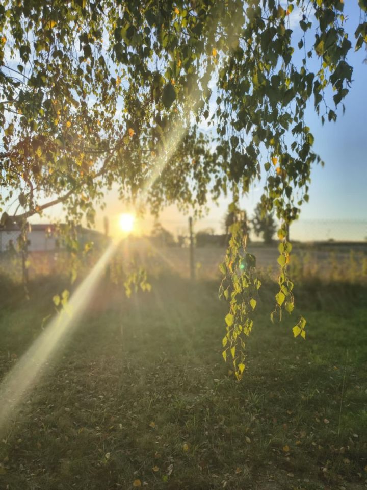 dom wolnostojący, 5 pokoi Jeżów. Zdjęcie 27