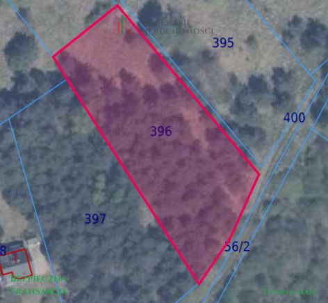 Działka inwestycyjna Głodowo. Zdjęcie 6