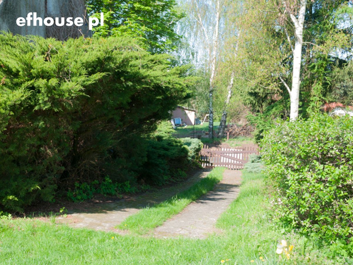 dom wolnostojący, 3 pokoje Dobrylewo. Zdjęcie 6