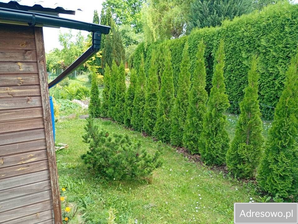 Działka rod Świdnik. Zdjęcie 3