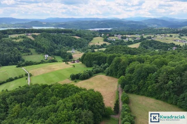 Działka siedliskowa Myczków. Zdjęcie 2