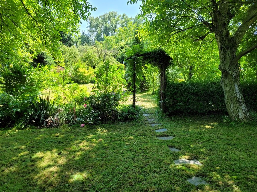 Działka rod Legnica. Zdjęcie 2