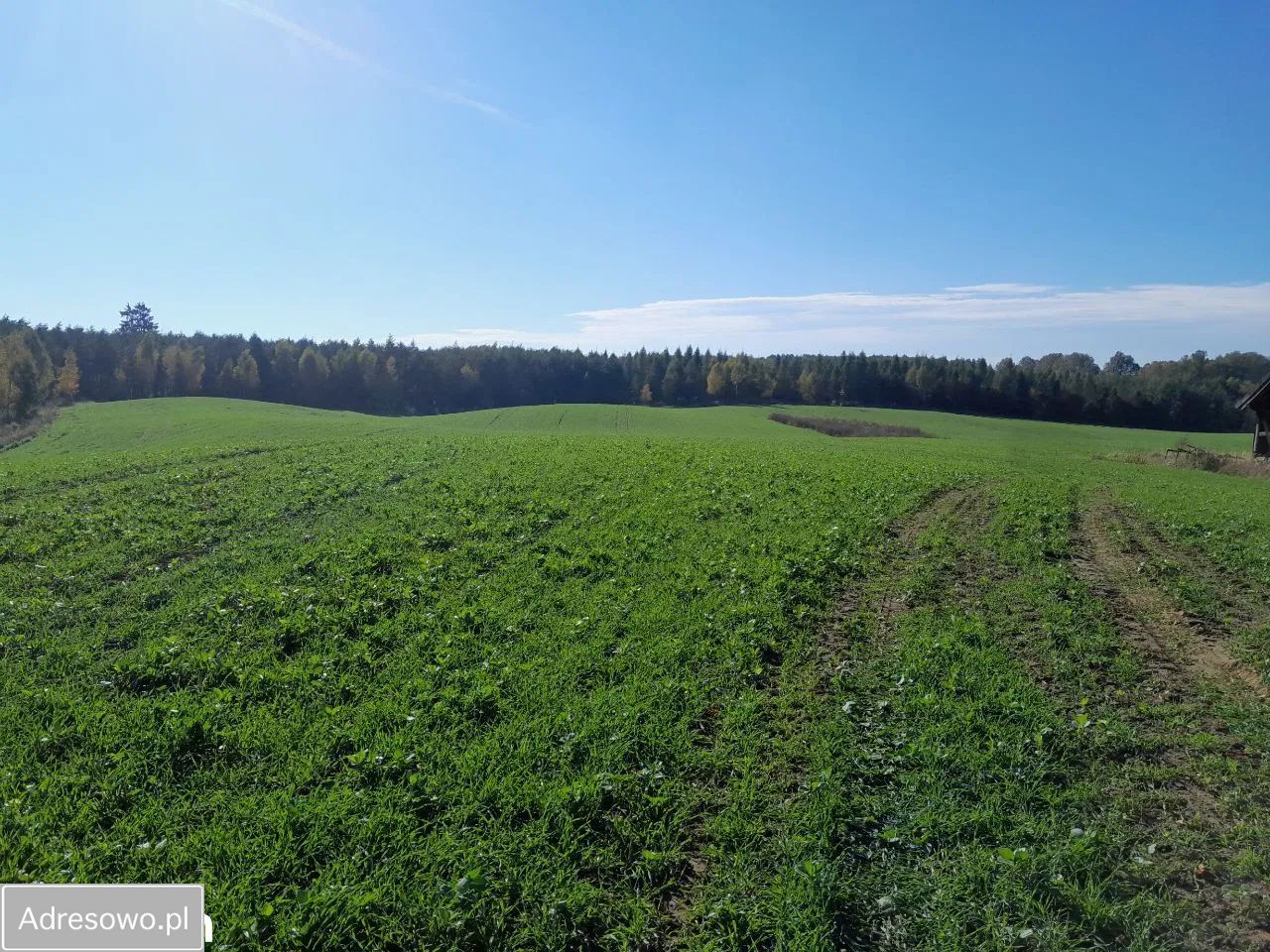 Działka rolno-budowlana Bezledy. Zdjęcie 13