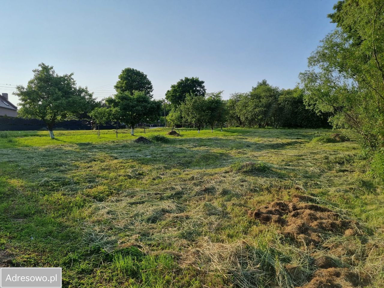 Działka budowlana Bieniowice. Zdjęcie 11